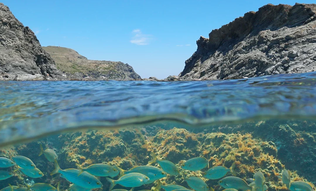 Descubre el Placer de Cuidarte: Sol, Mar Mediterráneo y Delicias Marinas en La Mar del Garum