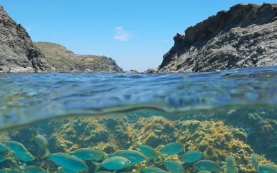 Descubre el Placer de Cuidarte: Sol, Mar Mediterráneo y Delicias Marinas en La Mar del Garum